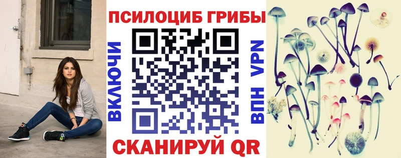 Галлюциногенные грибы GOLDEN TEACHER  Купить закладки  Десногорск 